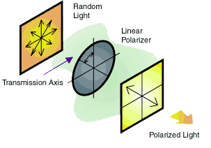 Successful Light Polarization Techniques | Edmund Optics